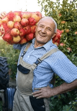 Farmer with apples